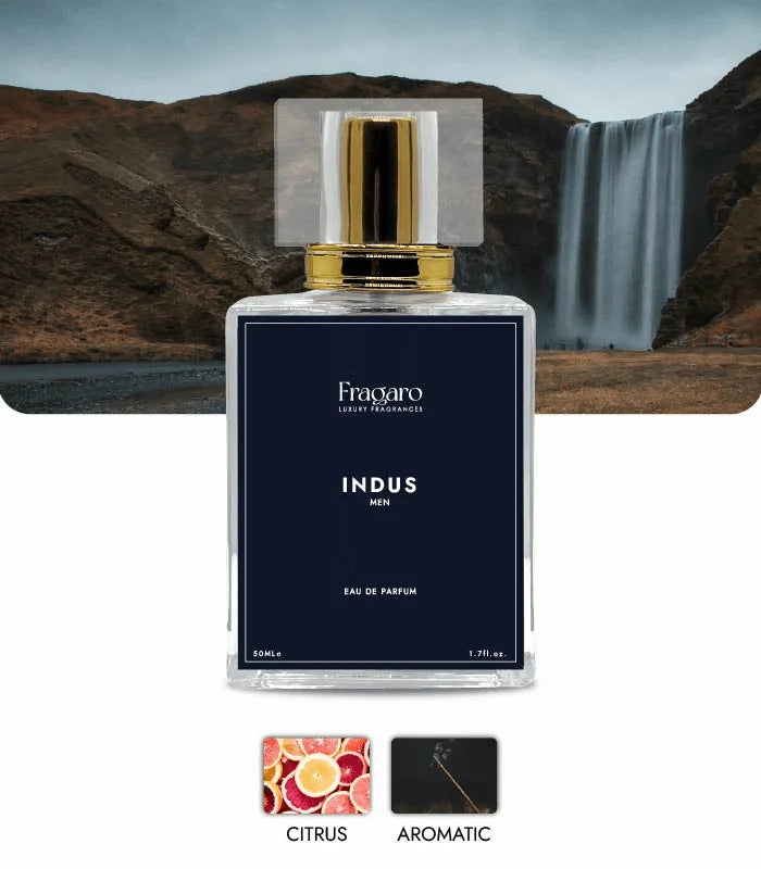 Indus 50ml men's perfume bottle by Fragaro accords